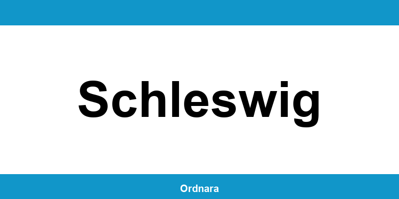 Kontakt zur Polizeiinspektion Schleswig